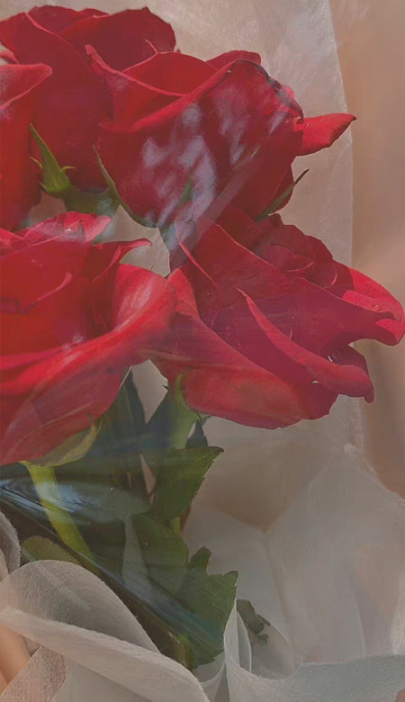 全面屏高清好看的壁纸2023 有质感最新的好看的全面屏壁纸最新