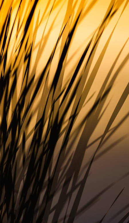 适合男生的全面屏高清优质手机壁纸 2023很气质很潮流的壁纸男生