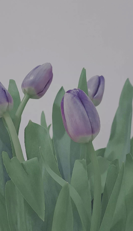 2023好看又很高级的无水印锁屏壁纸 很质感的锁屏壁纸合集