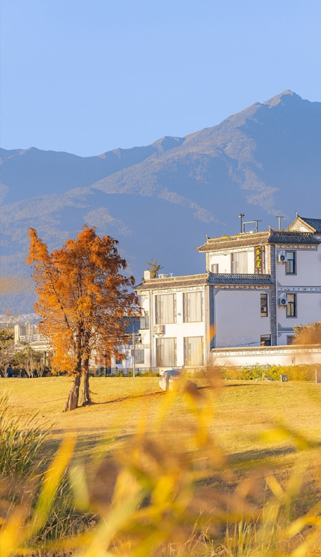 全屏冷淡风意境壁纸无水印 得嘎嘎开心才对得起自己