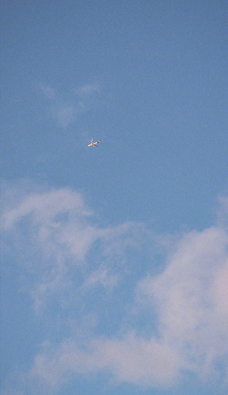 2023很热门又很舒心的壁纸大全 很个性的又很气质的壁纸合集