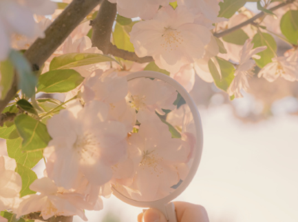 高贵很有气质的个性超拽签名 很有范的超拽签名合集