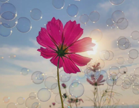 2023五一官宣领证的说说 超级甜蜜的领证语录