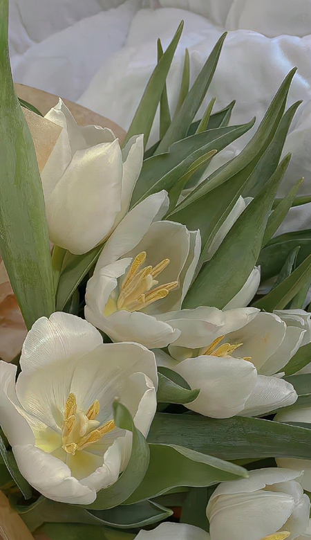 女生用的很有质感的壁纸合集 很简约又很日常的壁纸