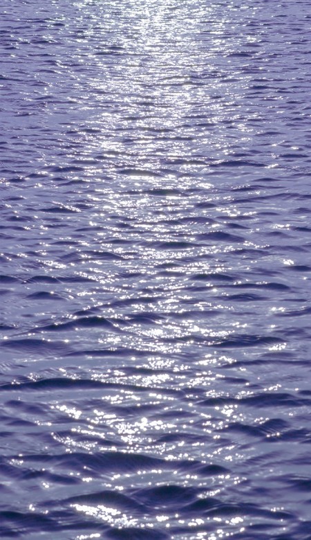 2023很舒心的又很气质的紫色壁纸 很陷落紫色的浪漫星河