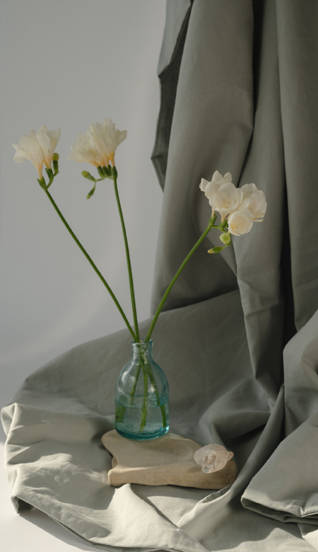 少女必备的很清新好看的壁纸 2023全面屏女生壁纸合集最新版