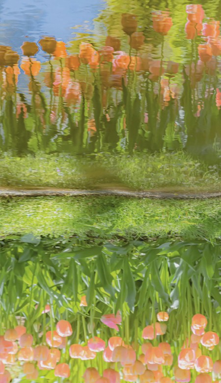 2023夏季专属清新又很静谧的壁纸合集 清新静谧好看的皮的夏季专属