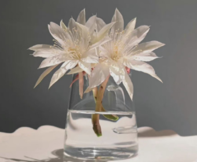 2023最火的个性超拽签名 一起做一个酷酷拽拽的人吧