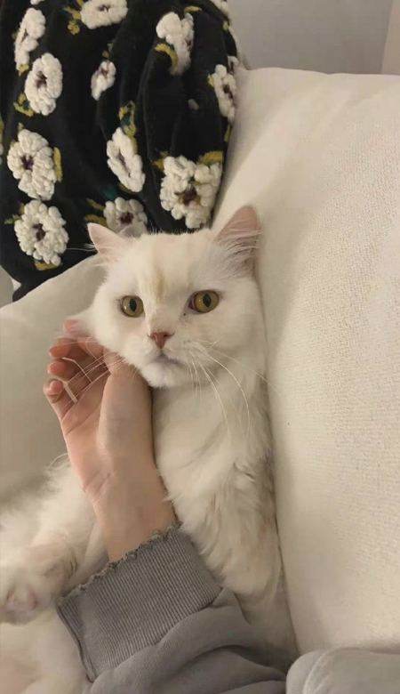 高级感的女生手机壁纸高清好看 ins气质高级感女生皮肤2023