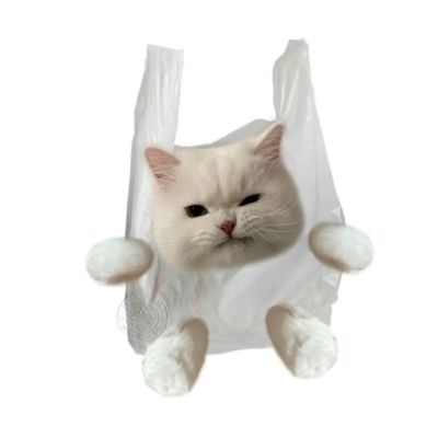 白看不厌的猫咪微信头像可爱 2023全新猫咪微信头像合集