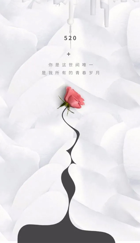 520高清浪漫的祝福壁纸大全2023 最好的爱藏在你的生活点滴中