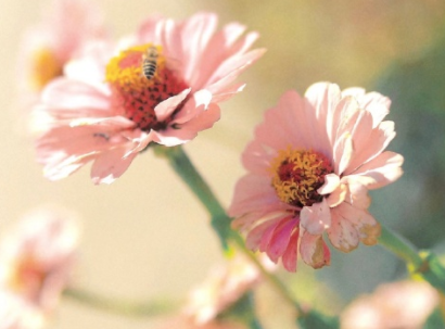 2023激励自己努力奋斗的签名 写给自己的励志正能量签名