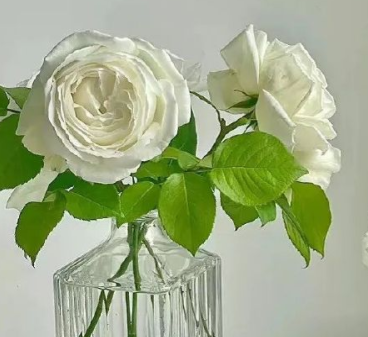 微信签名经典又走心简单 微信走心的个性签名2023