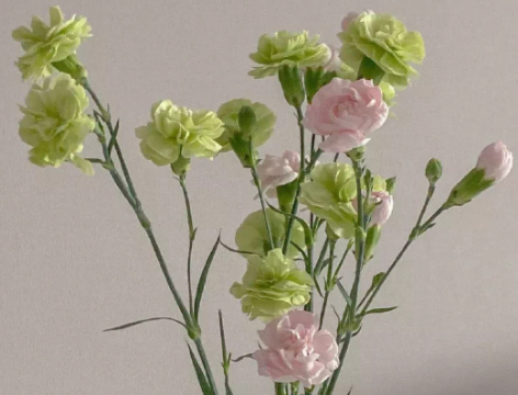 编制上岸的开心说说 考编上岸的开心句子