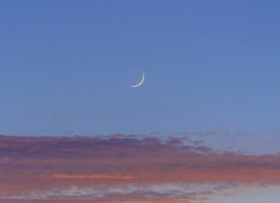 讽刺拍马屁人的虚伪文案 讽刺拍马屁的人的说说 讽刺拍马屁人的虚伪文案 讽刺拍马屁的人的说说