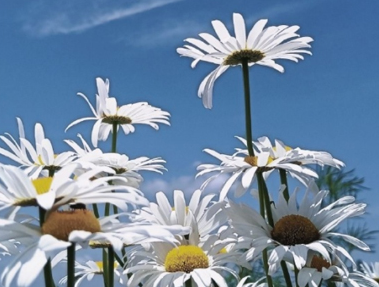 工作干的寒心了的说说 辞职之后的心情说说 工作干的寒心了的说说 辞职之后的心情说说