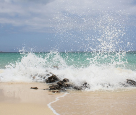 所有的美好如期而至的说说 美好的一天如期而至说说 所有的美好如期而至的说说 美好的一天如期而至说说