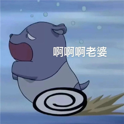 2023奇幻魔法melody表情合集 超萌超可爱的melody表情最新