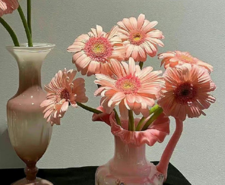 很独特又魅力的女生签名 气与众不同一点的女生签名 很独特又魅力的女生签名 气与众不同一点的女生签名