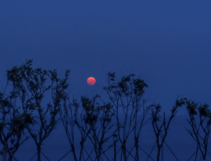 霸气有杀气的个性签名 最牛b霸气的个性签名 霸气有杀气的个性签名 最牛b霸气的个性签名