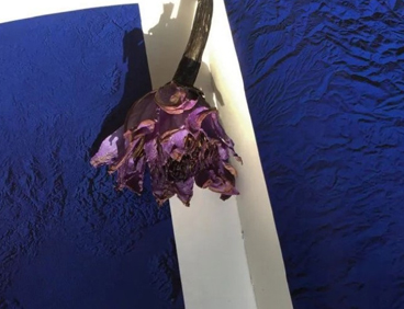 堕落颓废又自嘲的句子 我是废物自嘲文案 堕落颓废又自嘲的句子 我是废物自嘲文案