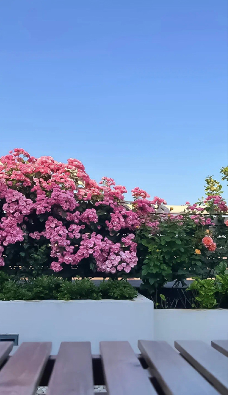 最新版全面屏壁纸高清热门 全网都很爱的浪漫壁纸