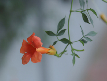 彼此不理解对方的句子 相互不能理解的文案 彼此不理解对方的句子 相互不能理解的文案