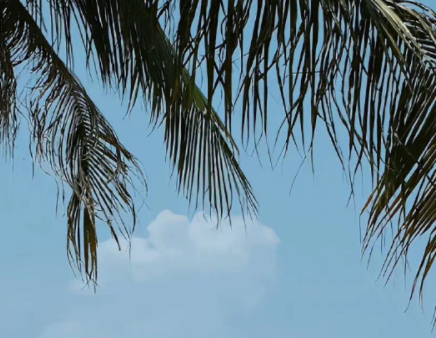 八月早安正能量简单一句话 2022八月你好早安心语 八月早安正能量简单一句话 2022八月你好早安心语