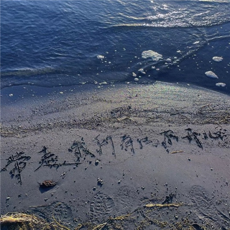 2023简约不失浪漫的高清背景合集 阳光暖暖生活总会有希望