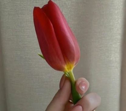 七夕情人节单身狗语录 2022七夕单身狗的搞笑句子 七夕情人节单身狗语录 2022七夕单身狗的搞笑句子