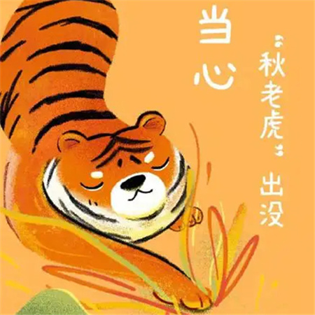 2023秋老虎微信带字搞笑素材合集 当心秋老虎出没