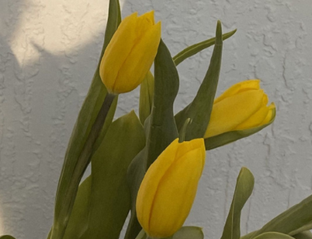 适合秋天发的文案短句 2022秋季好听唯美的说说 适合秋天发的文案短句 2022秋季好听唯美的说说