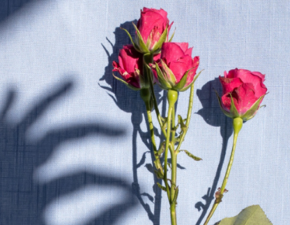 适合秋天发的文案短句 2022秋季好听唯美的说说 适合秋天发的文案短句 2022秋季好听唯美的说说