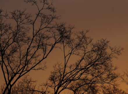 一个人走在夜里害怕的说说 一个人怕黑的伤感说说 一个人走在夜里害怕的说说 一个人怕黑的伤感说说