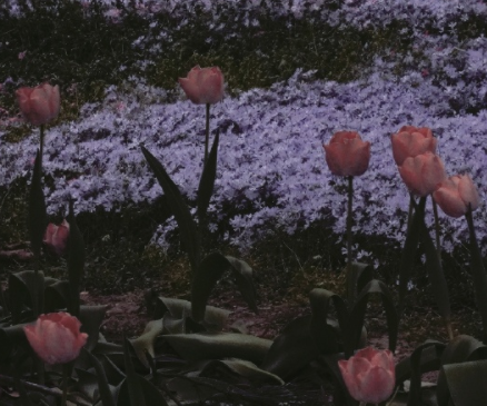 有关妊娠纹的心情说说 怀孕长妊娠纹的说说 有关妊娠纹的心情说说 怀孕长妊娠纹的说说