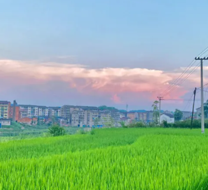 喜欢农村生活的安逸句子 惬意的农村生活的句子 喜欢农村生活的安逸句子 惬意的农村生活的句子