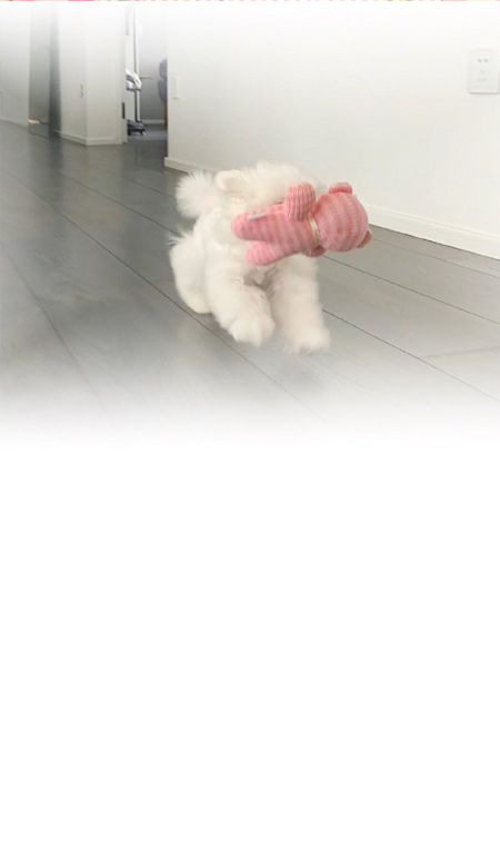 2023渐变微信聊天壁纸清新好看 高清又温柔的聊天壁纸合集