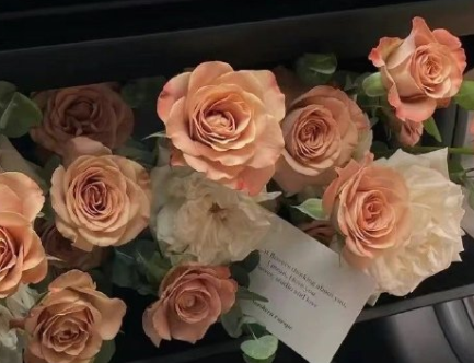 失业后的心情说说 失业了发朋友圈的句子 失业后的心情说说 失业了发朋友圈的句子