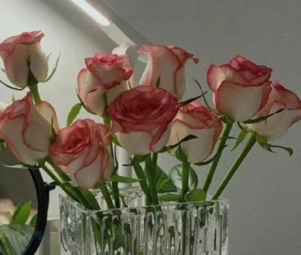 失业后的心情说说 失业了发朋友圈的句子 失业后的心情说说 失业了发朋友圈的句子