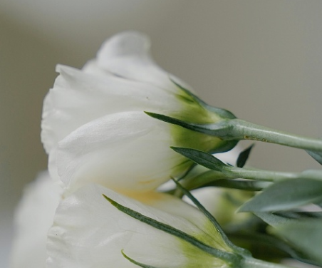 没有任何情绪的简短文案 普普通通的干净语录 没有任何情绪的简短文案 普普通通的干净语录