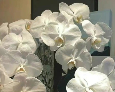 收到鲜花高情商发朋友圈句子 一大早收到鲜花的说说 收到鲜花高情商发朋友圈句子 一大早收到鲜花的说说