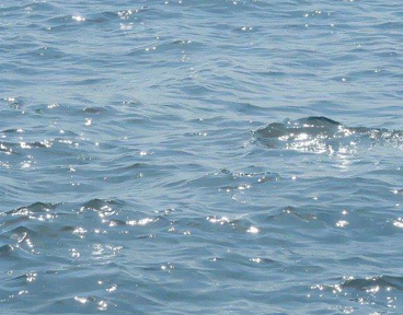 最新睡不着的幽默句子 搞笑又可爱的失眠句子 最新睡不着的幽默句子 搞笑又可爱的失眠句子