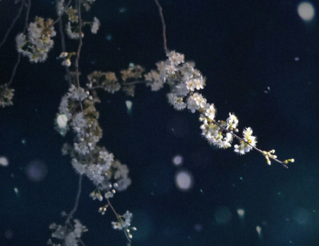 终于把自己折腾病了的说说 终于还是熬不住了病倒了句子 终于把自己折腾病了的说说 终于还是熬不住了病倒了句子