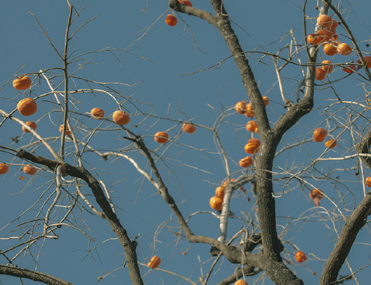 拒绝内耗励志短句 反内耗经典语录