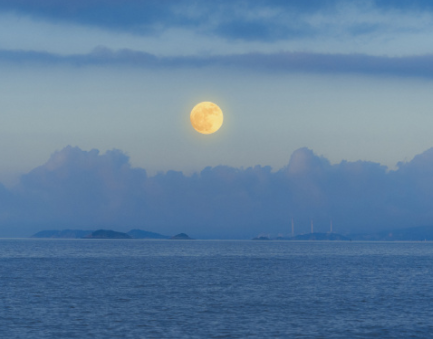 九月秋意渐浓的心情说说 金秋九月心情说说 九月秋意渐浓的心情说说 金秋九月心情说说