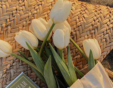 2022八月再见伤感说说 八月再见九月你好伤感语录 2022八月再见伤感说说 八月再见九月你好伤感语录