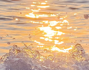 2022八月再见伤感说说 八月再见九月你好伤感语录 2022八月再见伤感说说 八月再见九月你好伤感语录