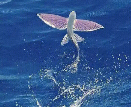 穿少数民族服装拍照发朋友圈 穿着少数民族衣服的说说 穿少数民族服装拍照发朋友圈 穿着少数民族衣服的说说