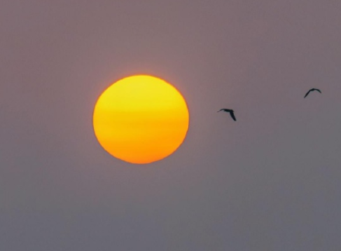 2022年只剩三分之一了心情说说 给剩下的2022年的自己一段话 2022年只剩三分之一了心情说说 给剩下的2022年的自己一段话