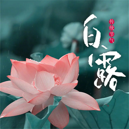 2023白露节气唯美素材大全 白露秋分夜一夜凉一夜